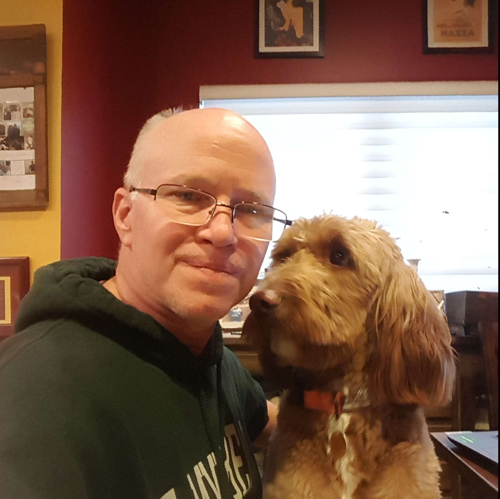 Phd dissertation image